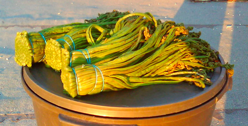 Продажа дикорастущих растений и грибов с доставкой по всей России