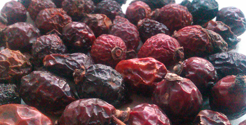 Продажа дикорастущих растений и грибов с доставкой по всей России